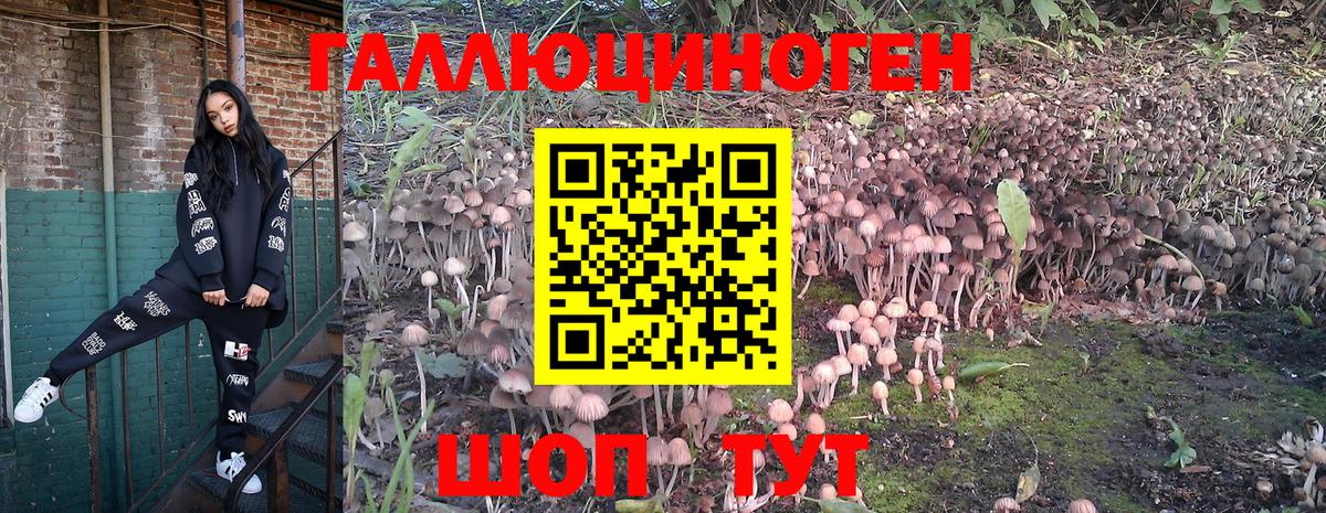 Псилоцибиновые грибы мухоморы Южно-Сахалинск